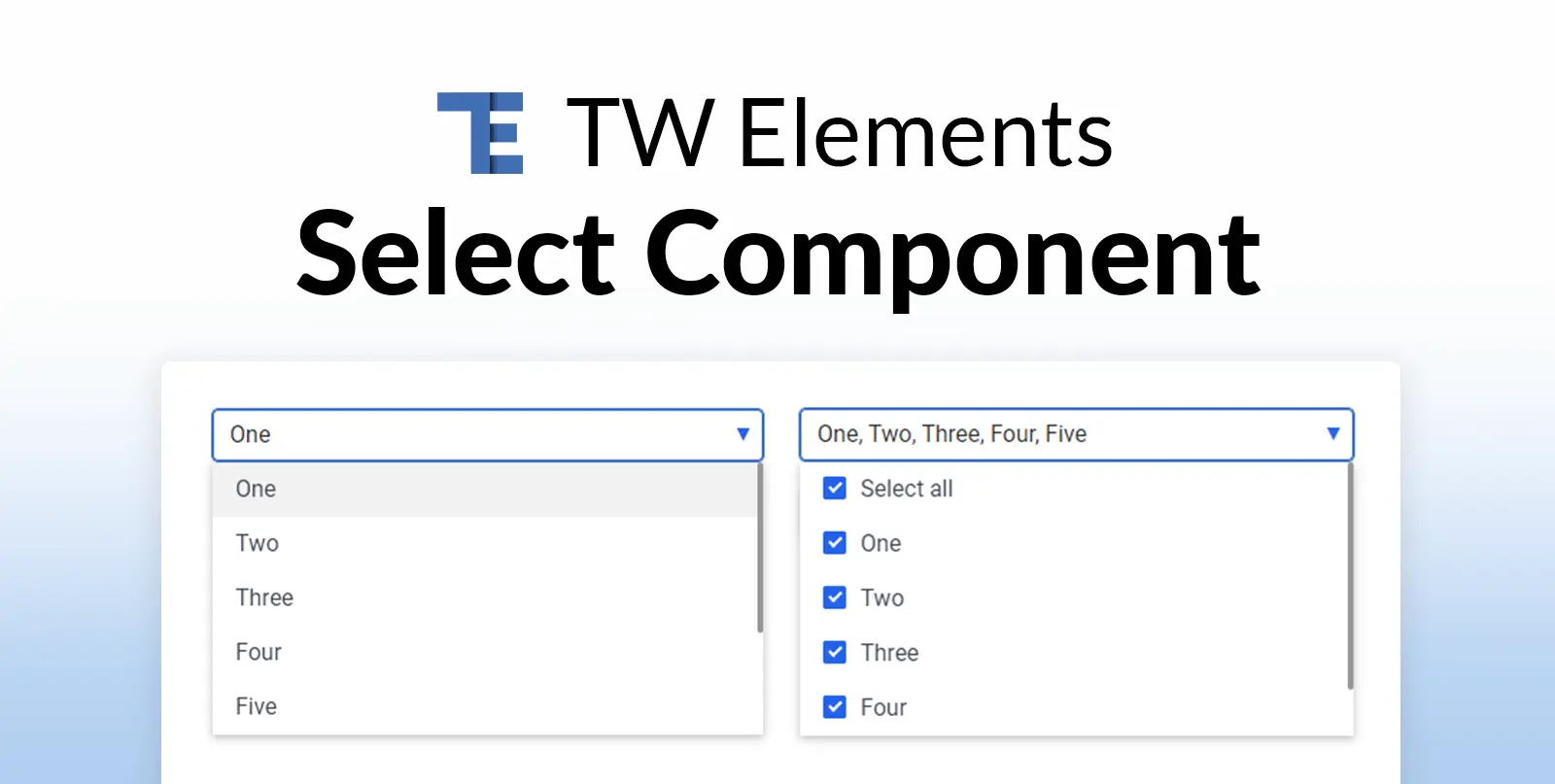 Angular Custom Input Component Example